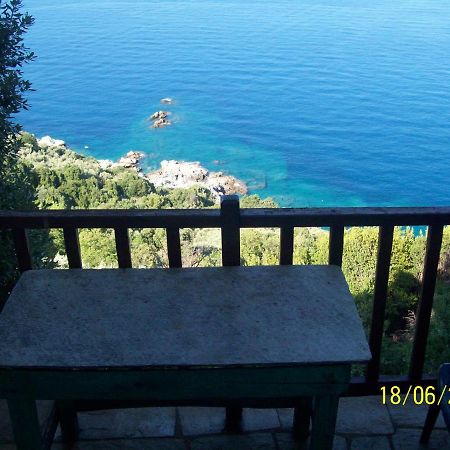 Apartments In Mylopotamos Milopotamos (Thessaly) Exterior foto